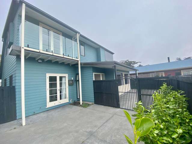 67 Beatty Street South New Brighton_1