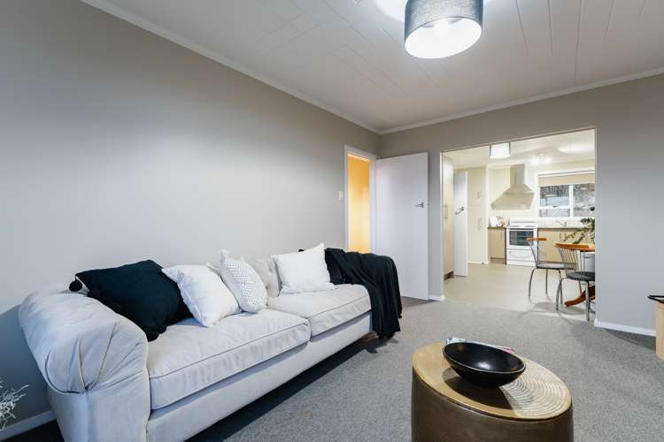 12 Turner Street Halfway Bush_9