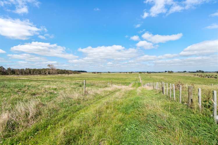 3125 State Highway 1 Sanson_15