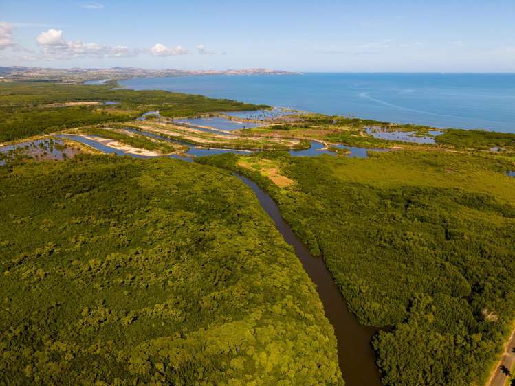 Denarau Waters Viti Levu_15