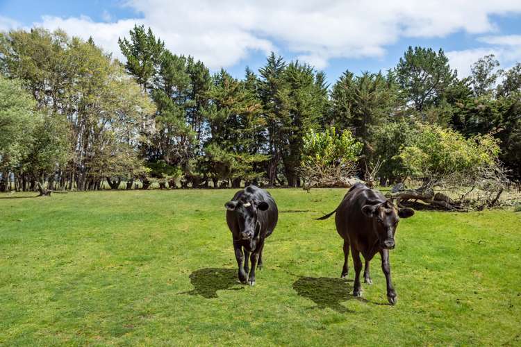 299 Bidwills Cutting Road Greytown_24