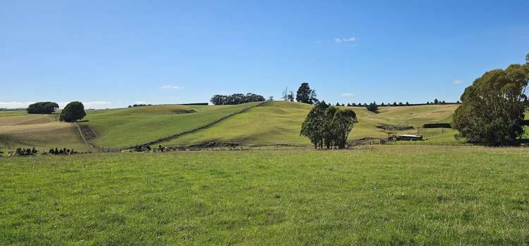 1550 Waimumu Road Te Tipua_8
