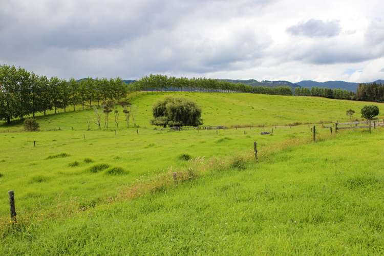 133 Okahu Road Kaitaia_29