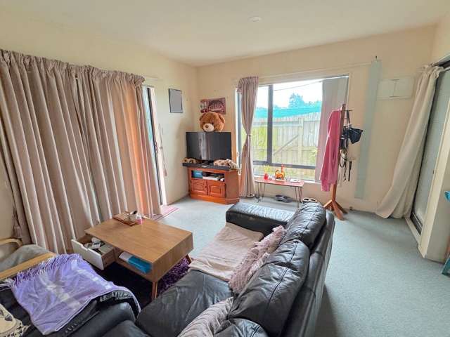 56 Manurere Street Hei Hei_1