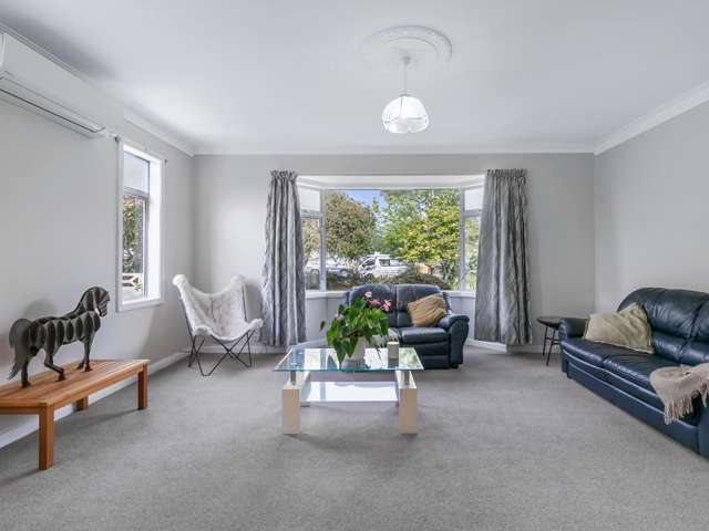22 Mckenzie Street Levin_1