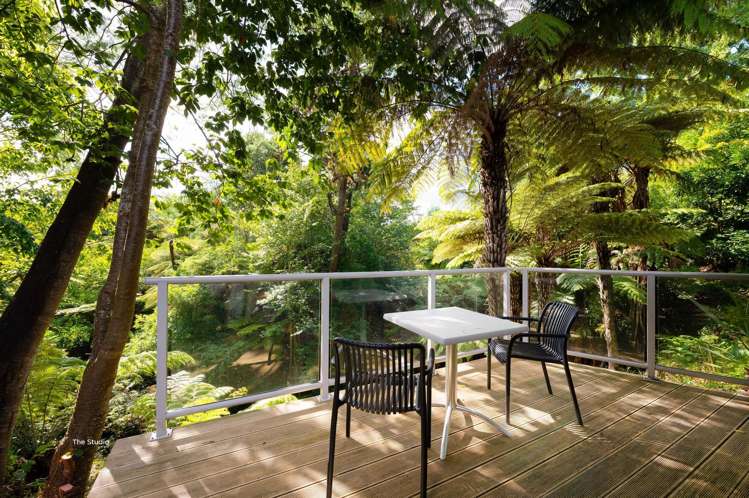 38 Urlich Avenue Melville_23