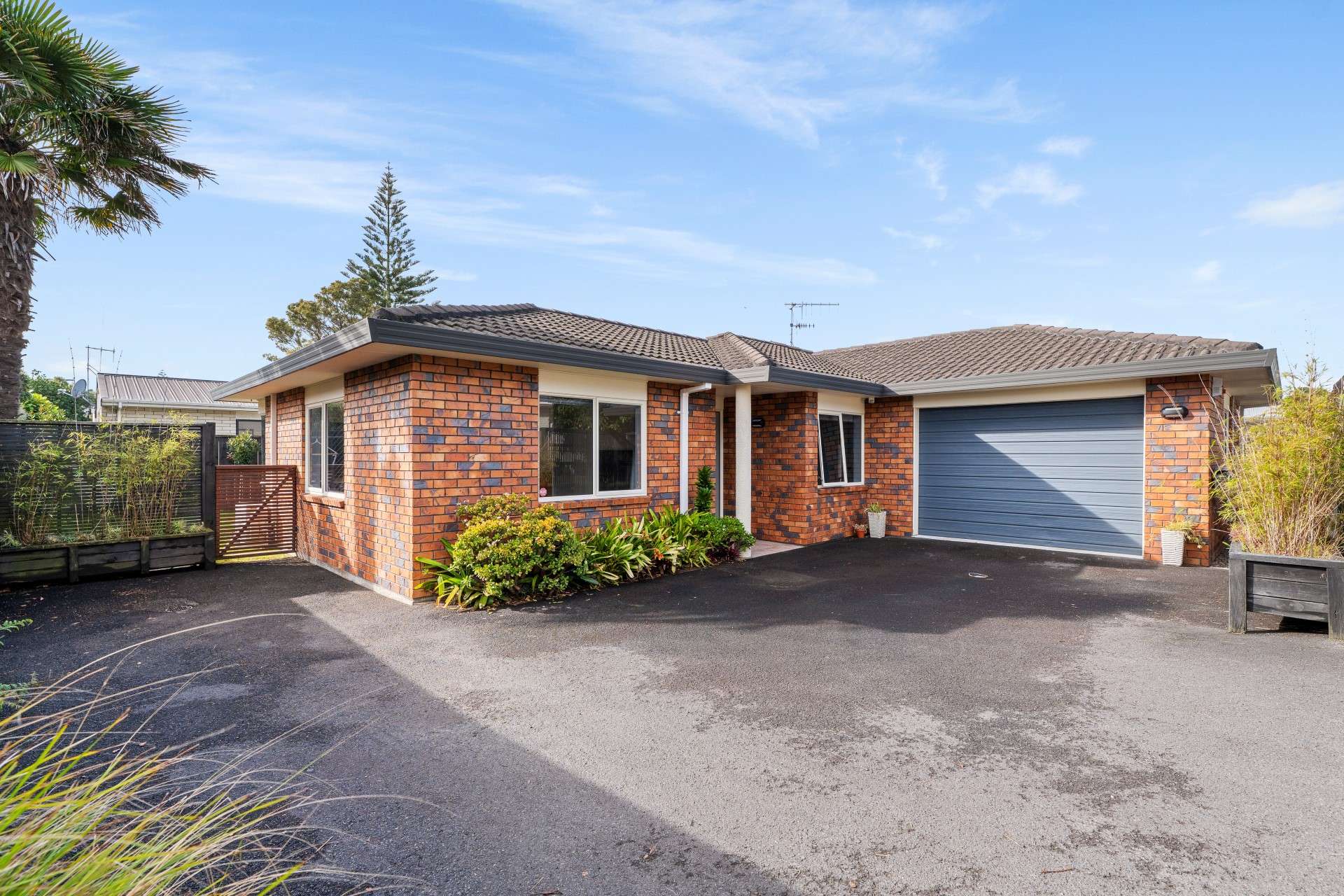 31b Carysfort Street Mount Maunganui_0