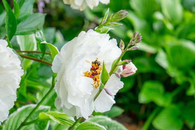 23 Sefton Street Seaview_43