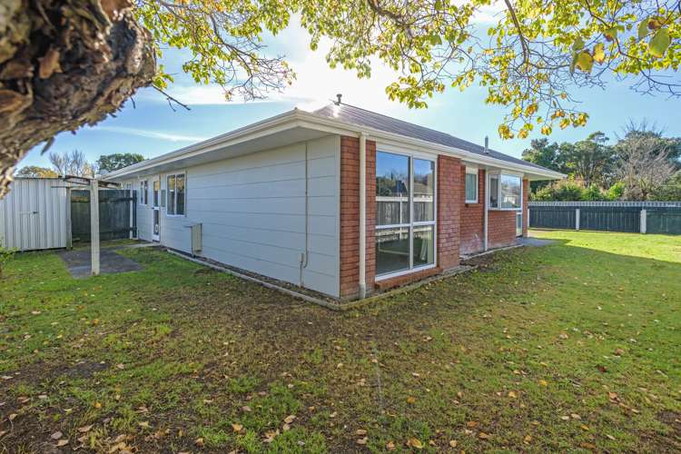 509 Featherston Street Roslyn_11