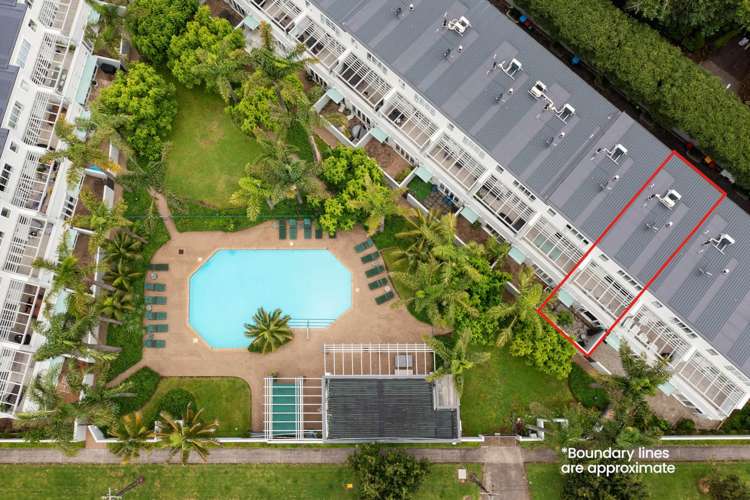 1C Findlay Street Ellerslie_17