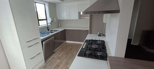 3 Bedroom house + 1 Bedroom Apartment Spreydon