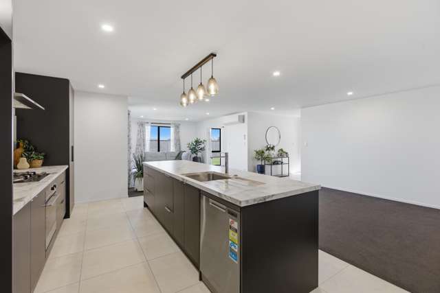 9 Pukatea Street Hawera_1