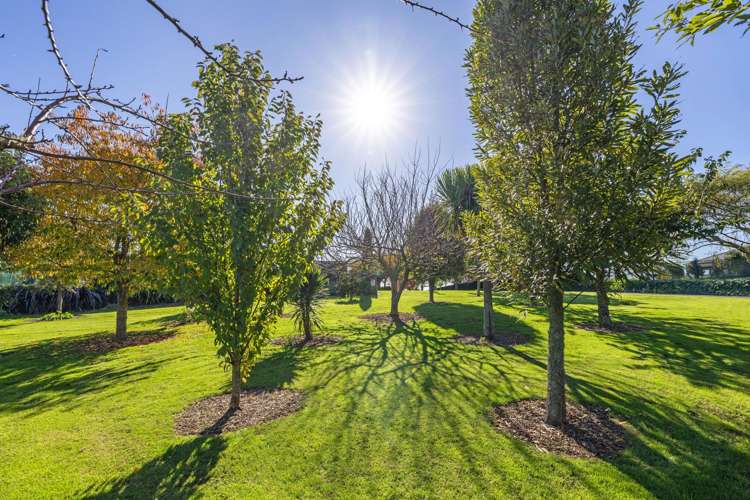2 Lawbrooke Lane Te Awamutu_34