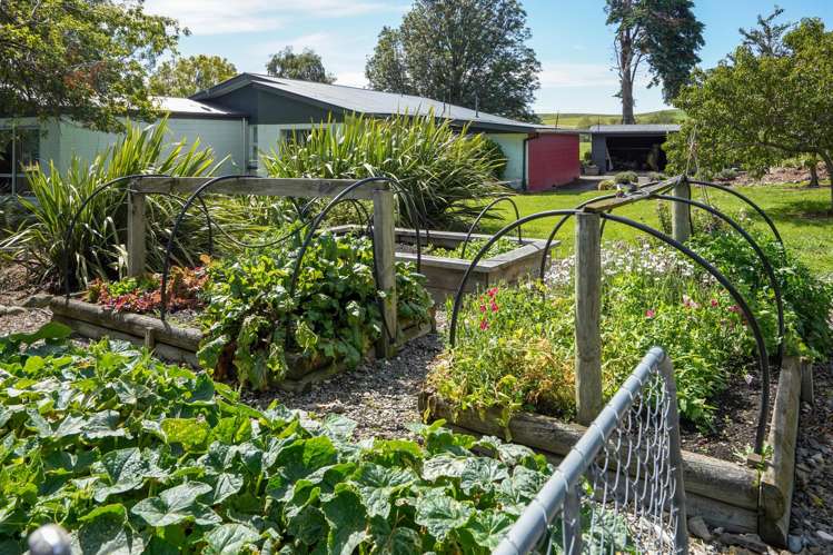 379 Pyramid Valley Road Pyramid Valley_21