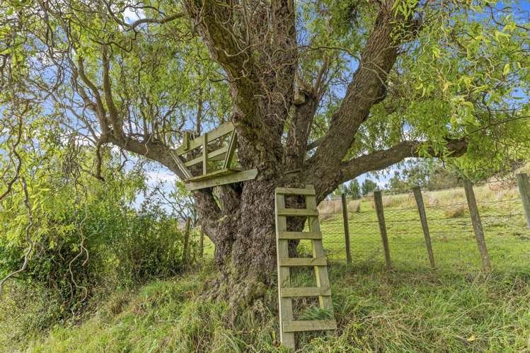 280 Pukeokahu Road Taoroa Junction_22