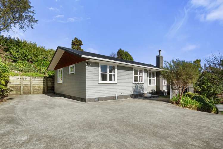 1310 Fergusson Drive Brown Owl_21