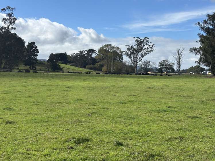 Blacks Road Palmerston_7