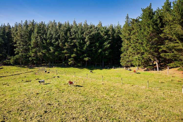 8P Davaar Road Greta Valley_23