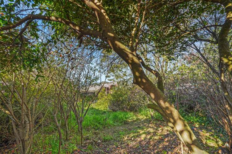 30 Suffolk Street Phillipstown_12