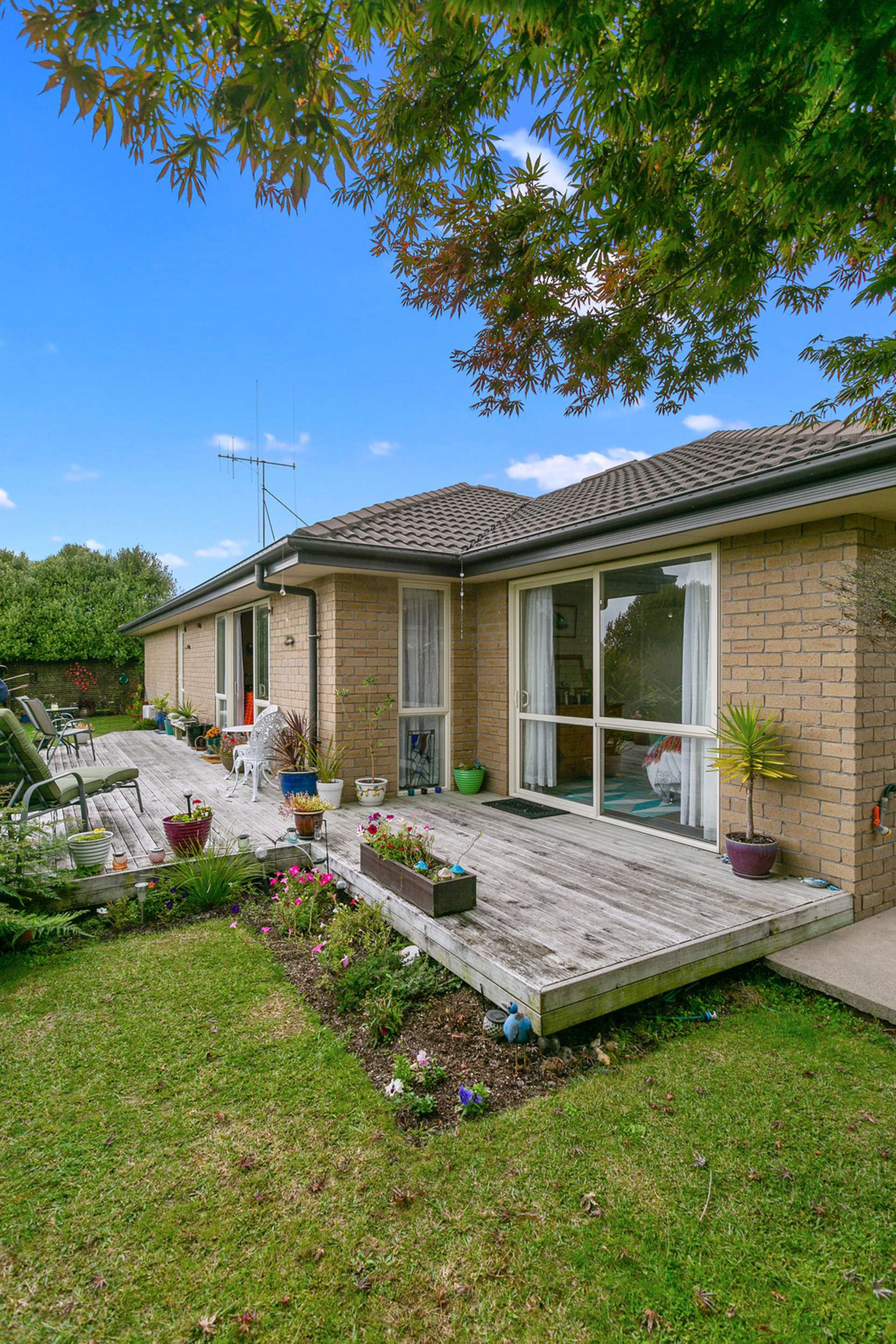 200b Daphne Street Te Awamutu_0