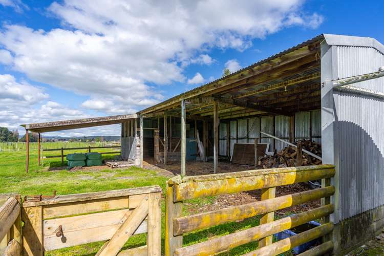 73 Udy Street Greytown_30