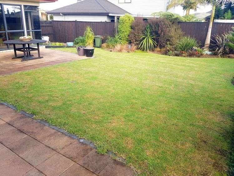 10 Bellshill Close Wattle Downs_3