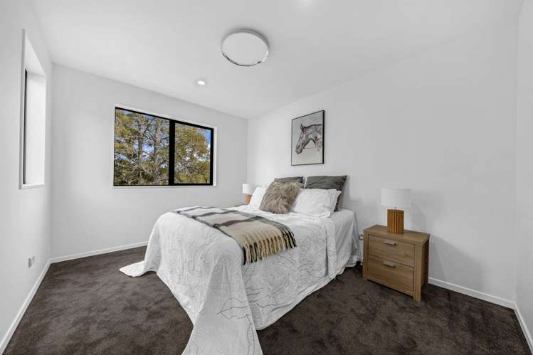 2 Hughs Way Flat Bush_19