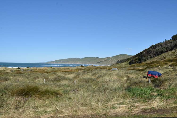 88 Akitio Esplanade Pongaroa_16