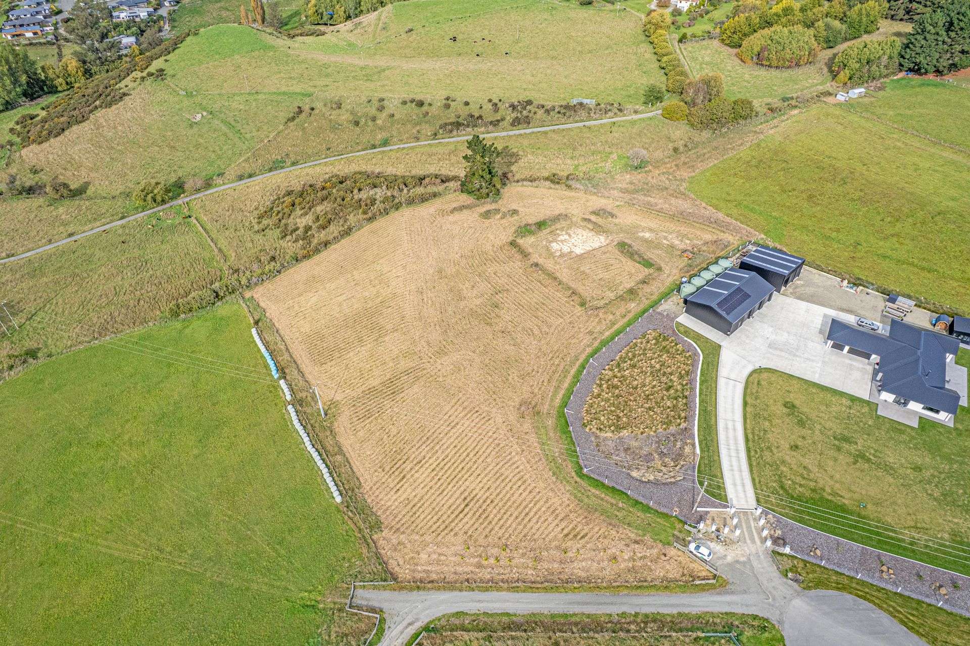 Pukeko Lane Weston_0