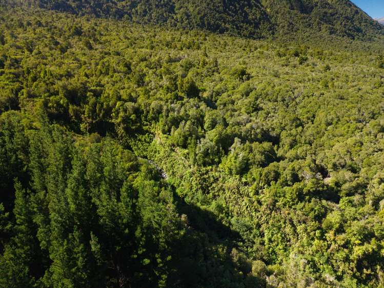 Bell Hill Road Inchbonnie_11