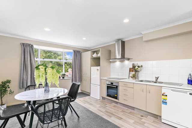 146f Aro Street Aro Valley_1