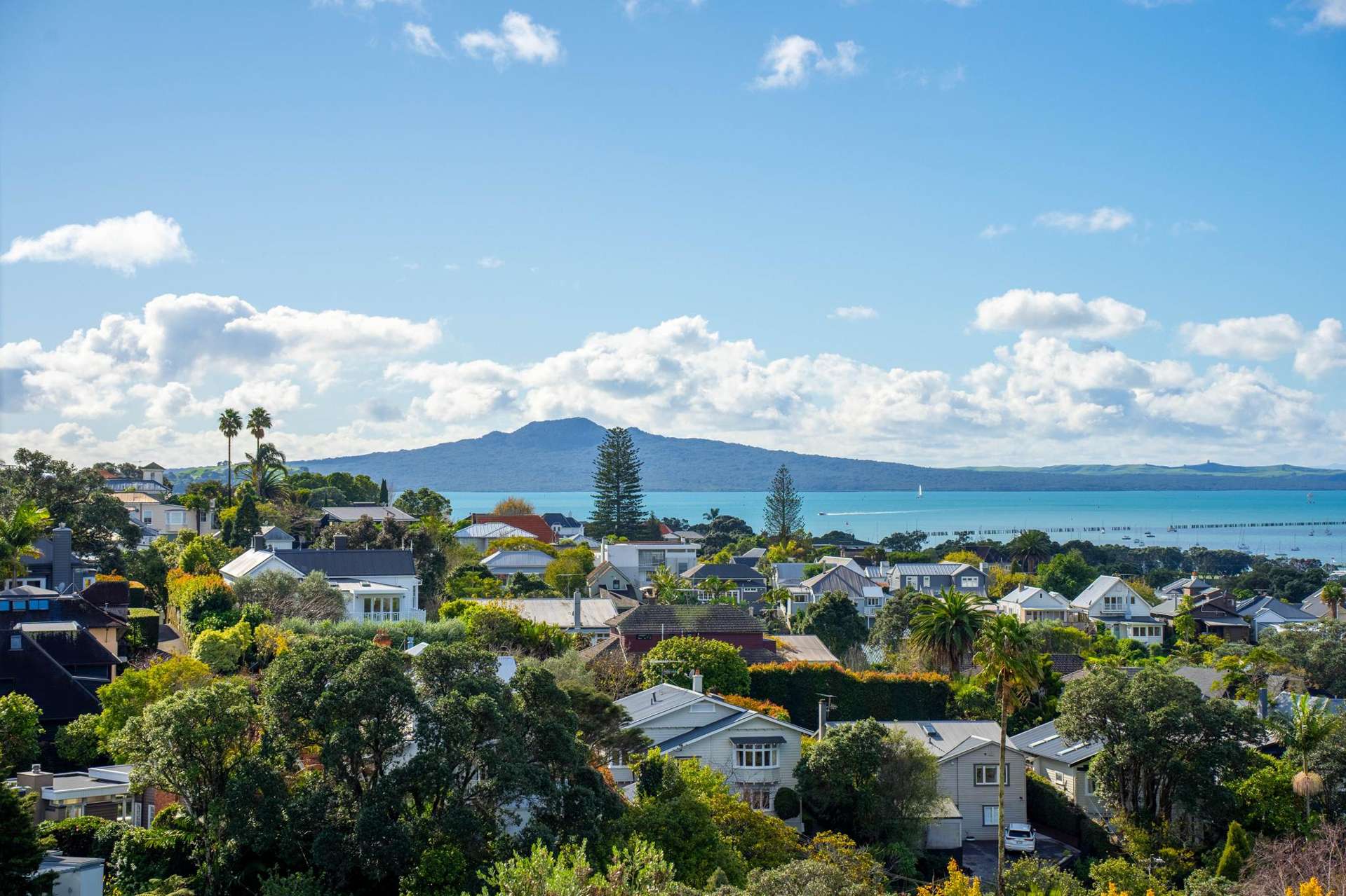 46 Brighton Road Parnell_0