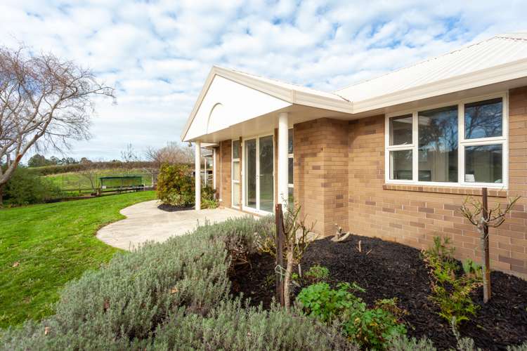 485 Kiwitahi Railway Road Morrinsville_18