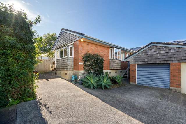 25a Owairaka Avenue Mount Albert_4