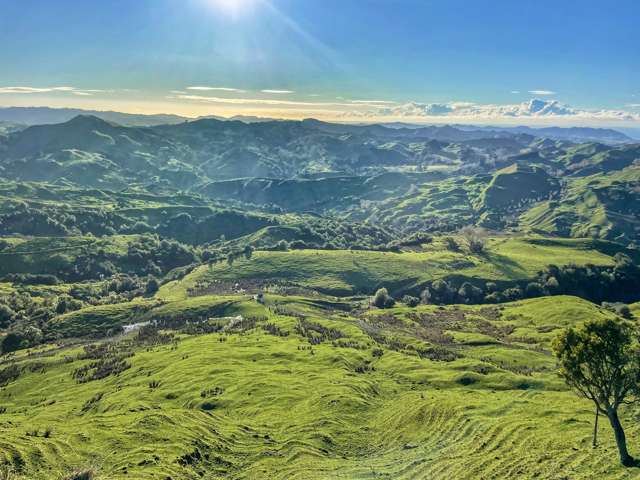 783 Glenroy Road Whangara_1