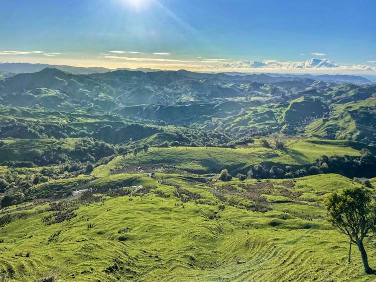 783 Glenroy Road Whangara_1