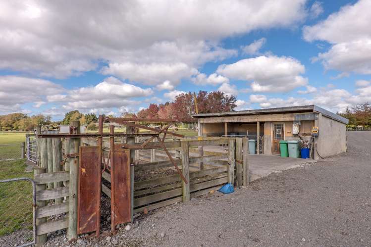 60 Hollands Road Tinwald_28