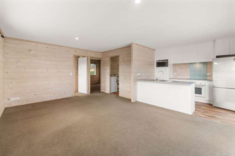 219A Birkdale Road_4