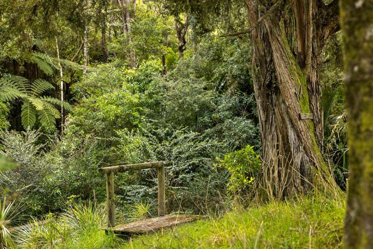 263 Sunnyside Road_5