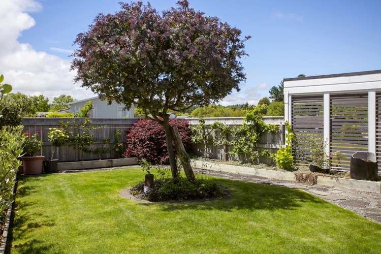 17 Macdonell Street Hilltop_31