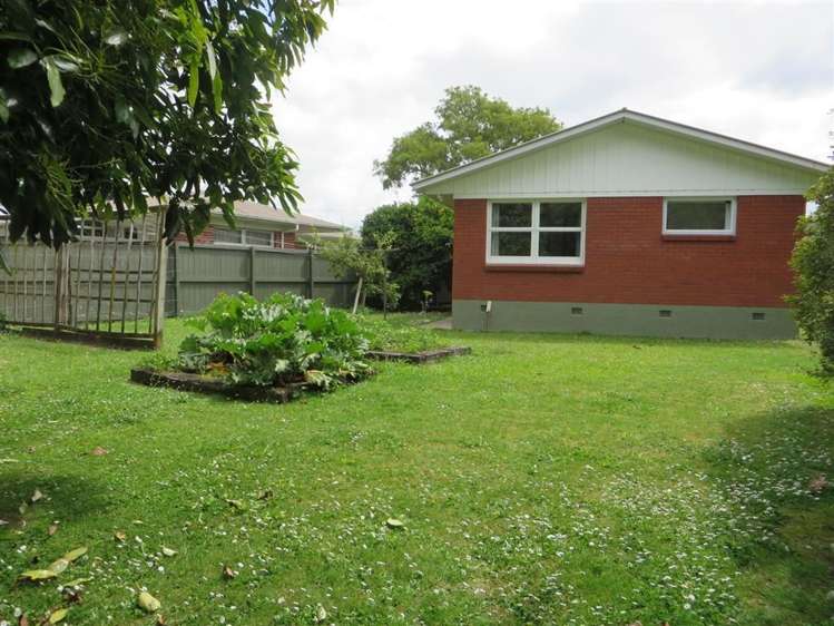 51 Berkley Avenue Hillcrest_14