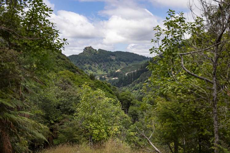 144 Graham Valley North Branch Road Motueka Valley_34