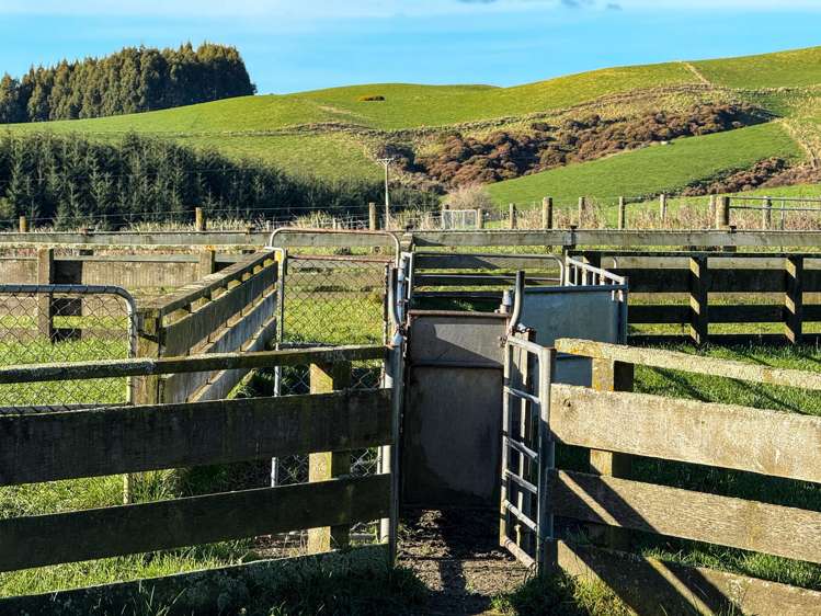 164 Waddle Road Mataura_11