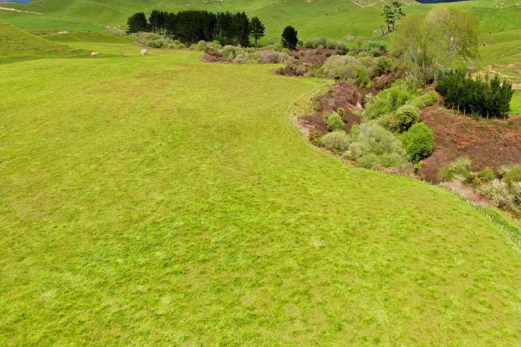 166 Airstrip Road Pikowai_32