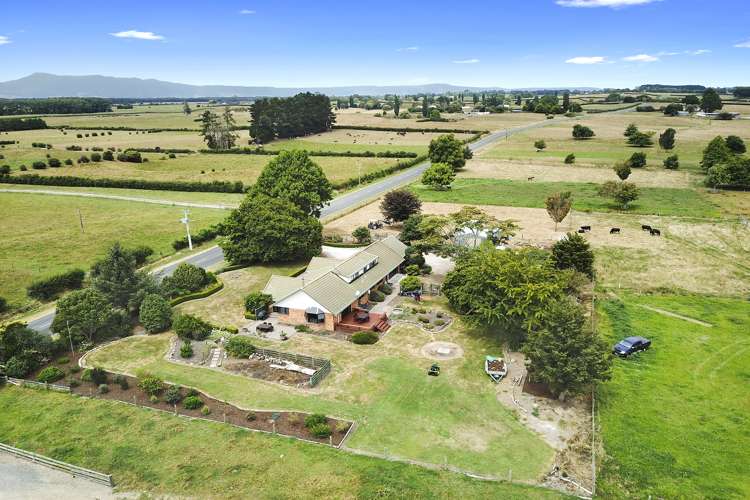 304 Cussen Road Morrinsville_2