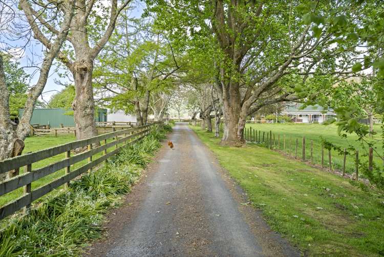 73 Massey Road Rotoorangi_26