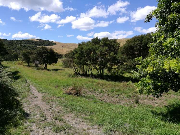 3558 Western Lake Road Ocean Beach_17