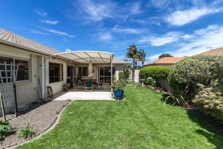 253 Guppy Road Taradale_17