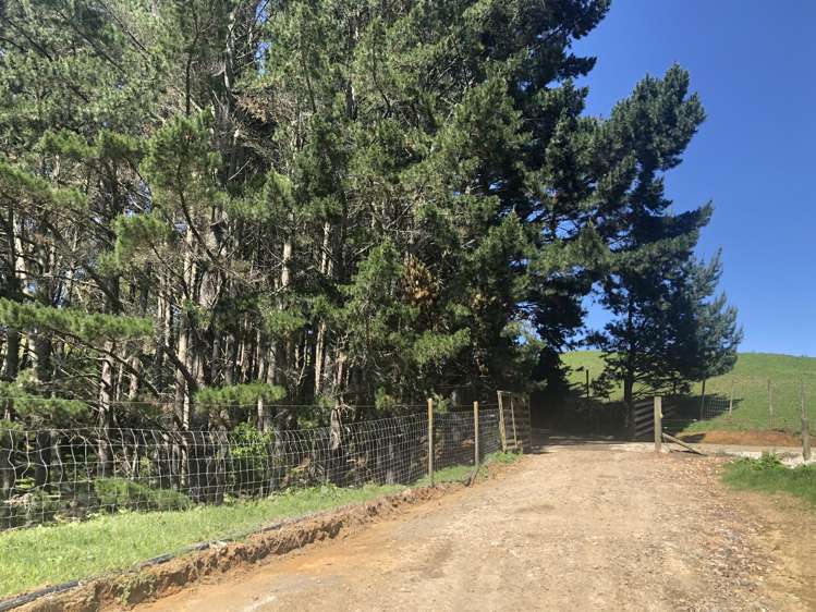 1026 Limeworks Loop Road Karamu_36