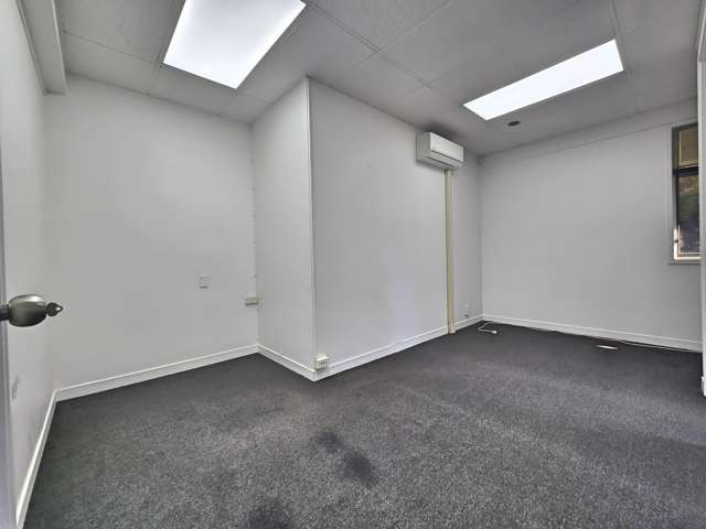 97 Manukau Road Epsom_4